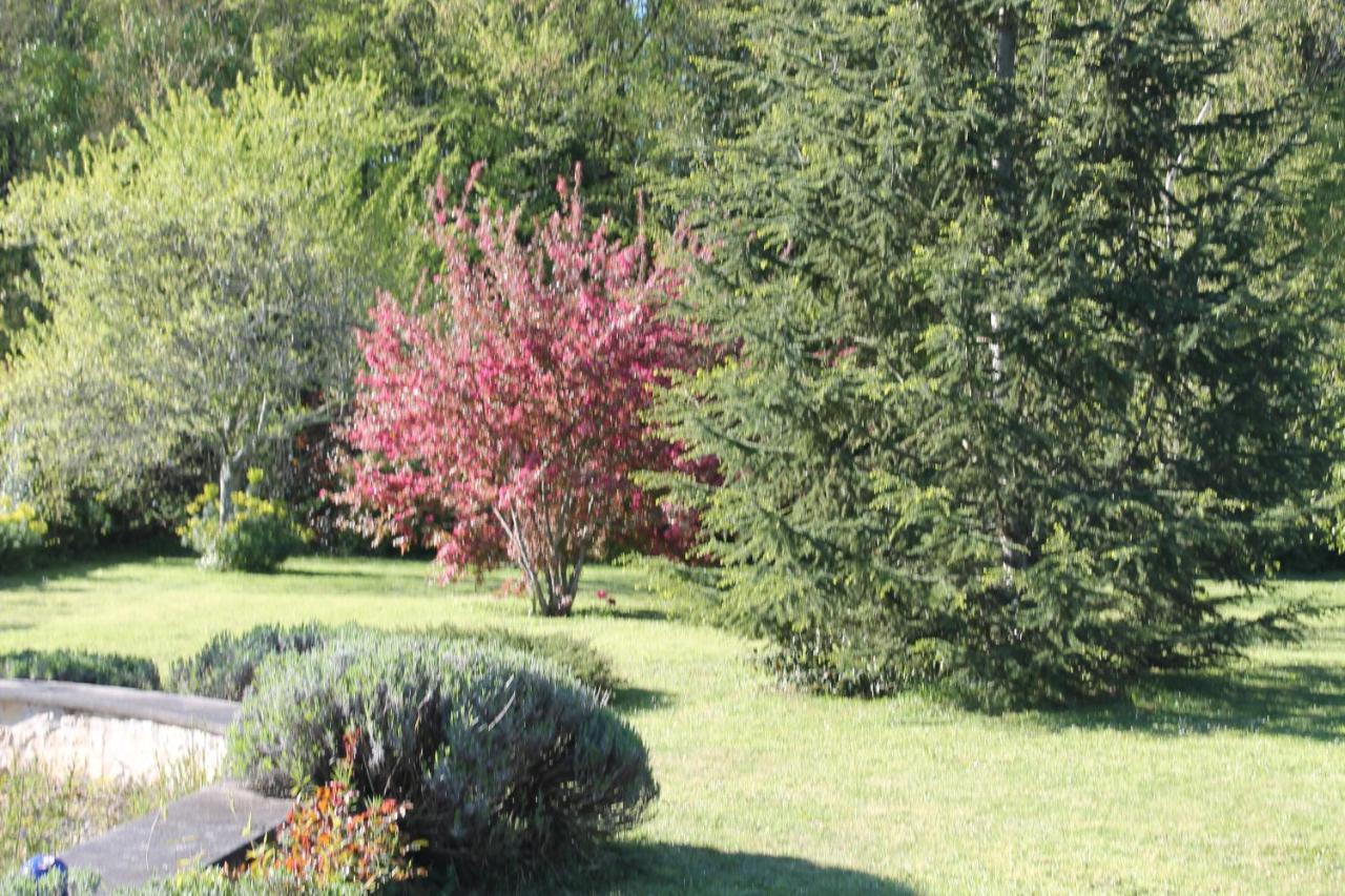 A L'Oree Du Bois Retaud Bagian luar foto